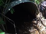 Culvert Crossing, Scarborough, Maine
