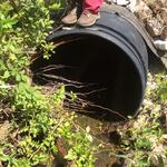Multiple Culvert Crossing, Phillips Brook, Scarborough, Maine