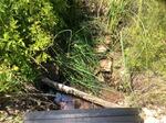Multiple Culvert Crossing, Phillips Brook, Scarborough, Maine