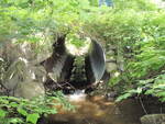 Culvert Crossing at Day Mountain Road, Temple, Maine