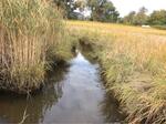 Culvert Crossing, Phillips Brook, Scarborough, Maine