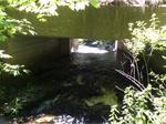 Bridge Crossing, Meadow Brook, Boothbay Harbor, Maine