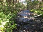 Bridge Crossing, Meadow Brook, Boothbay Harbor, Maine