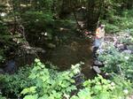 Culvert Crossing, Bingham, Maine