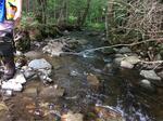 Culvert Crossing, Bingham, Maine