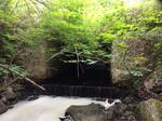 Culvert Crossing, Benver Brook, Jonesboro, Maine