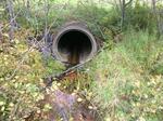 Culvert Crossing, Libby Brook, Kittery, Maine
