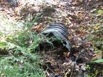 Culvert Crossing, Lebanon, Maine