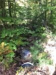 Culvert Crossing, Lebanon, Maine