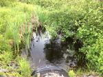 Culvert Crossing, Lincolnville, Maine