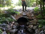 Culvert Crossing, Roxbury, Maine