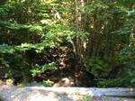 Culvert Crossing, Roxbury, Maine