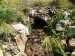Culvert Crossing, Roxbury, Maine