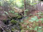 Bridge Crossing, Carrabassett Valley, Maine