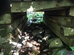 Bridge Crossing, Carrabassett Valley, Maine