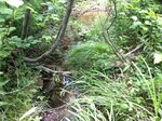 Culvert Crossing, Redington Twp, Maine