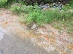 Multiple Culvert Crossing, Appleton, Maine