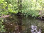 Multiple Culvert Crossing, Camden, Maine