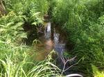 Culvert Crossing, Bristol, Maine