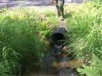 Culvert Crossing, Bristol, Maine