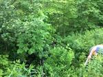Culvert Crossing, Solon, Maine