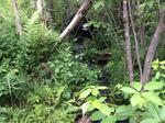 Culvert Crossing, Solon, Maine