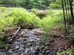 Culvert Crossing, Caratunk, Maine