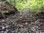 Culvert Crossing, Caratunk, Maine