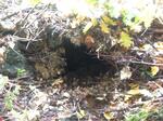 Culvert Crossing, Tributary To Bird Brook, West Paris, Maine