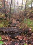 Culvert Crossing, Tributary To Bird Brook, West Paris, Maine