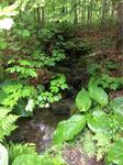 Culvert Crossing, Mount Vernon, Maine