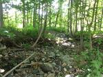 Multiple Culvert Crossing, Lincolnville, Maine