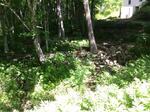 Multiple Culvert Crossing, Lincolnville, Maine