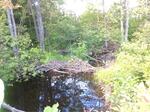 Culvert Crossing, Beaver Cove, Maine
