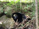 Culvert Crossing, Township 6 North of Weld, Maine