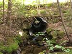 Culvert Crossing, Township 6 North of Weld, Maine