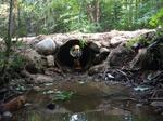Culvert Crossing, Byron, Maine