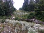 Multiple Culvert Crossing, Trib To Lake Cathance, Cooper, Maine