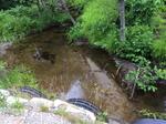 Multiple Culvert Crossing, Trib To Lake Cathance, Cooper, Maine