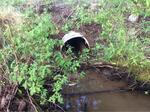 Culvert Crossing, Pembroke, Maine