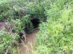 Culvert Crossing, Pembroke, Maine