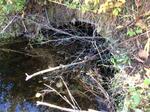 Culvert Crossing, Hamilton Branch, Waterboro, Maine