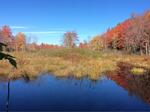 Culvert Crossing, Hamilton Branch, Waterboro, Maine