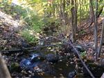 Culvert Crossing, Trib To Hamilton Branch, Alfred, Maine