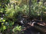 Culvert Crossing, Trib From Bunganut Pond, Alfred, Maine