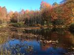 Culvert Crossing, Trib From Bunganut Pond, Alfred, Maine