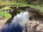 Culvert Crossing, Saint George, Maine