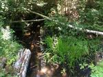 Multiple Culvert Crossing, Big Moose Twp, Maine