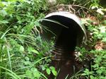 Culvert Crossing, Sandy River Plt, Maine