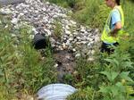 Culvert Crossing, Patty Creek, Kennebunkport, Maine